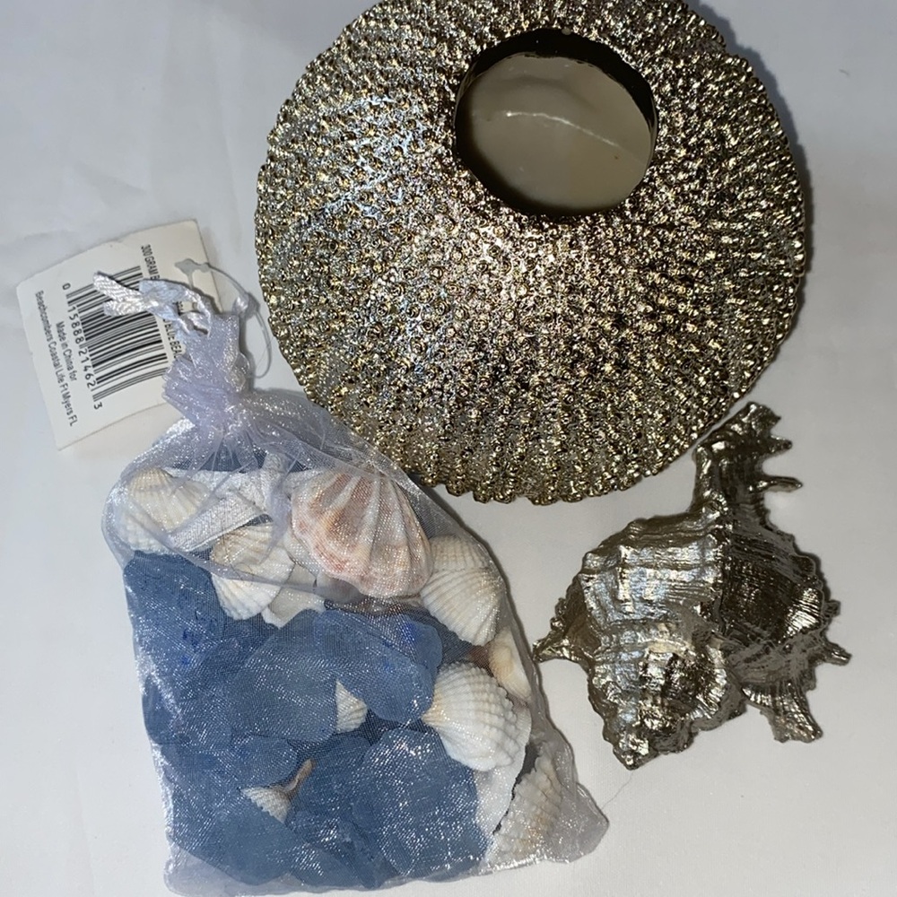 Set of 3 Ocean Beach Home Decor Shells Conch